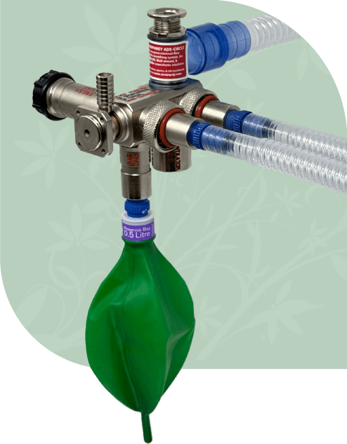 nimble_asset_ADE-semi